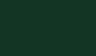 https://xyliki.gr/wp-content/uploads/2020/04/Forest-Green-U606-ST9-320x186.jpg