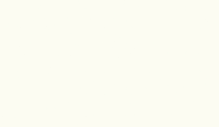 Premium White W1000 PT